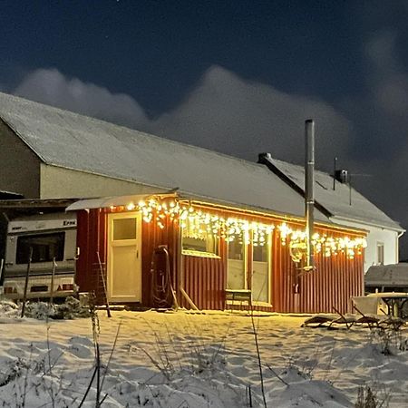 Tiny House Anneliese Hunde Okay Villa Oberbettingen Ngoại thất bức ảnh